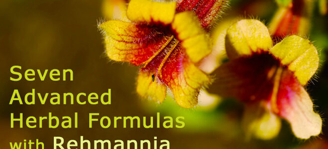 rehmannia_product_guide-2