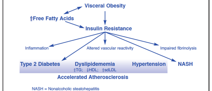 Insulin-Resistance-Metabolic-Syndrome