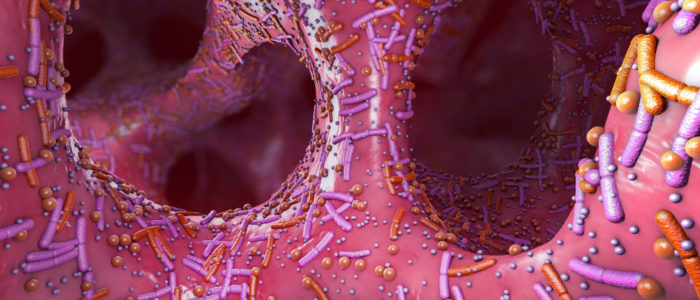 Different germs in the human intestines called microbiota - 3d illustration