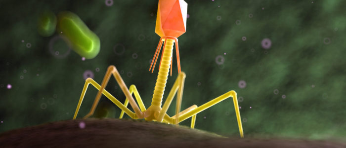 3d,Rendered,Medically,Accurate,Illustration,Of,A,Bacteriophage,On,A