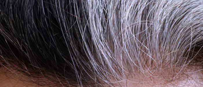 Going,Gray.,Woman,Gray,And,Black,Hair,Roots.,Close-up.