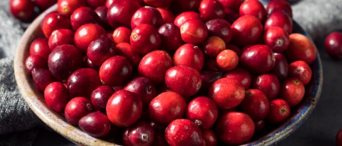 Healthy Red Organic Cranberries in a Bowl