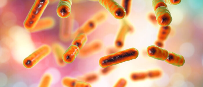 Bacteria Bacteroides fragilis, one of the major components of normal microbiome of human intestine, 3D illustration